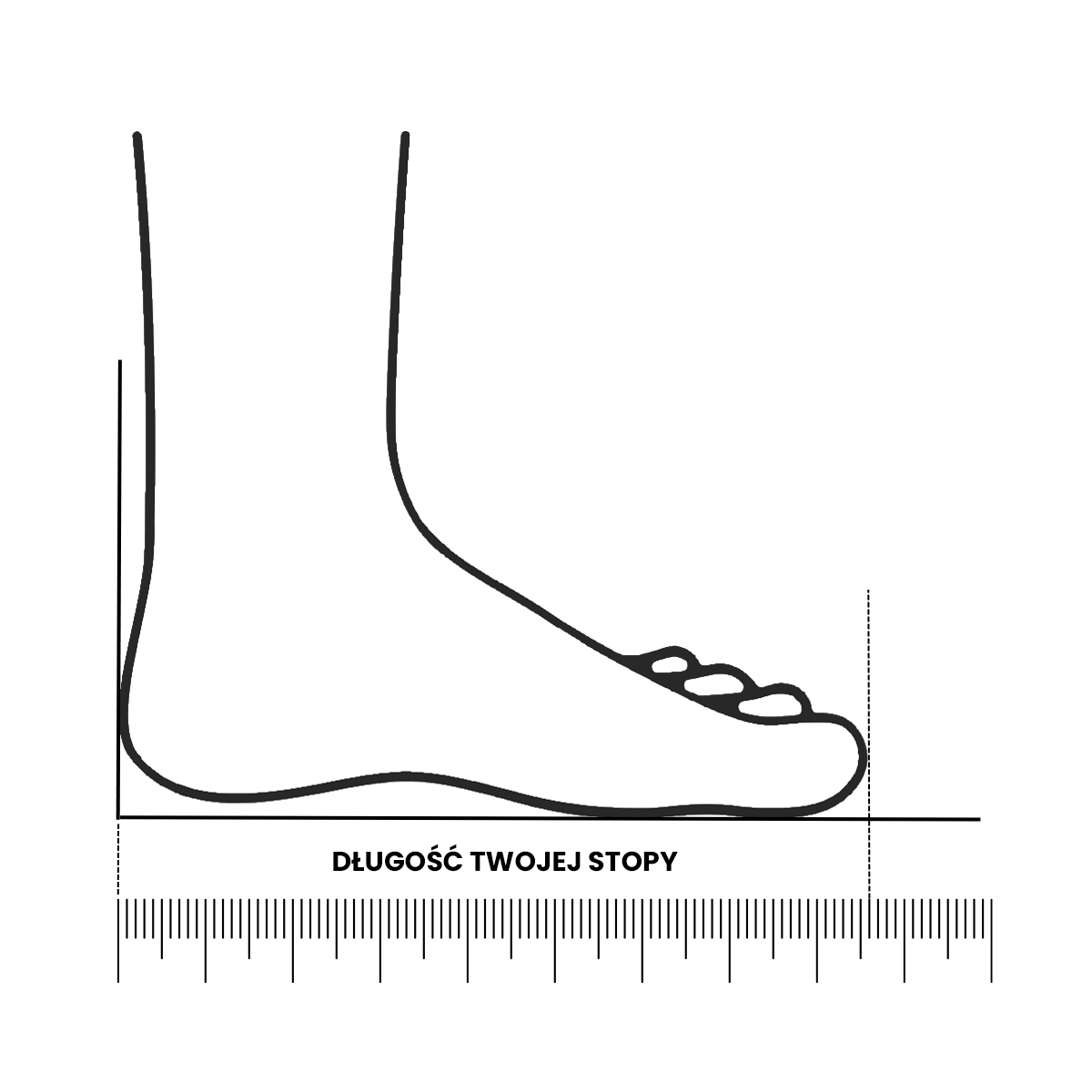 długość stopy